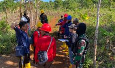 Pendataan Tanaman di Lermatang Berjalan Lancar, Warga Dukung PSN Blok Masela